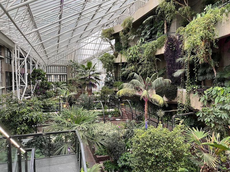 The indoor tropical garden at the Barbican Centre.